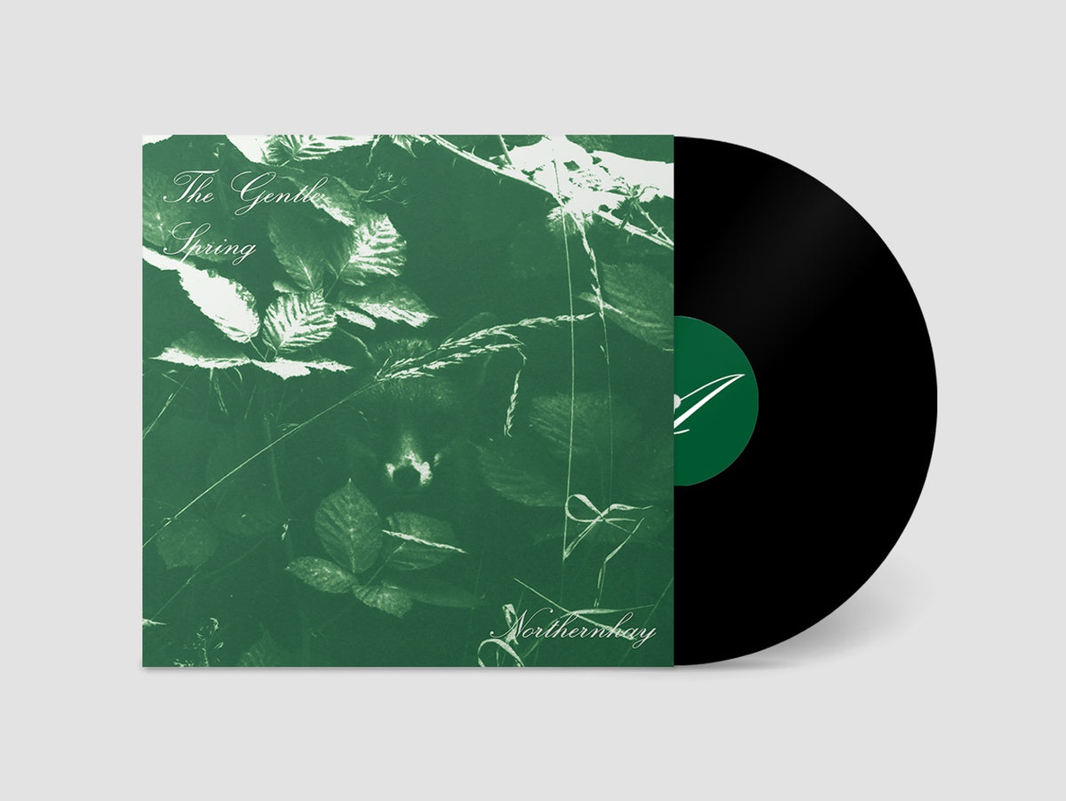 THE GENTLE SPRING - NOTHERNHAY - BLACK VINYL LP - PRE ORDER OUT 22ND JANUARY 2027