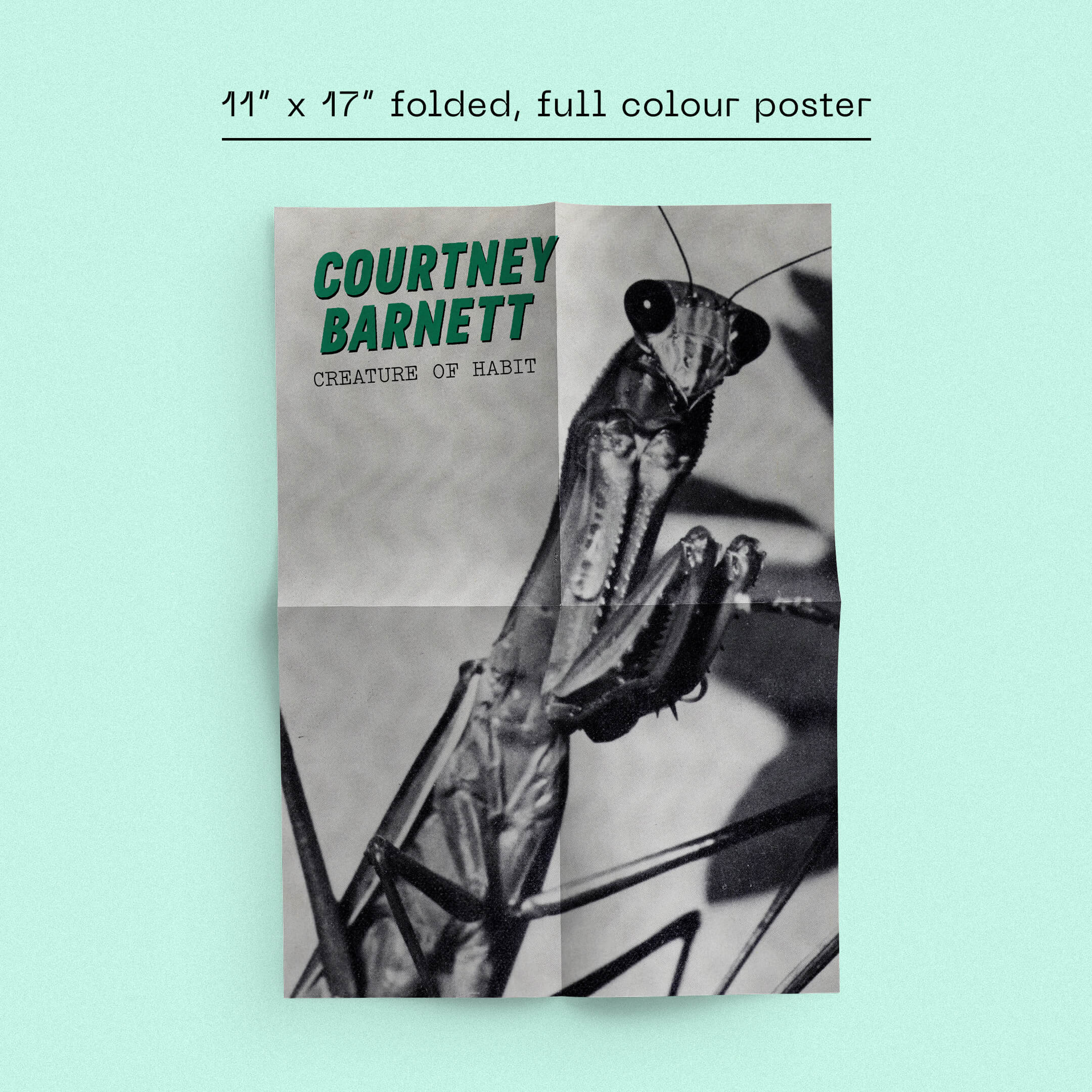 COURTNEY BARNETT - CREATURE OF HABIT - DINKED EDITION 390 - GALAXY BLACK TRANSLUCENT VINYL LP