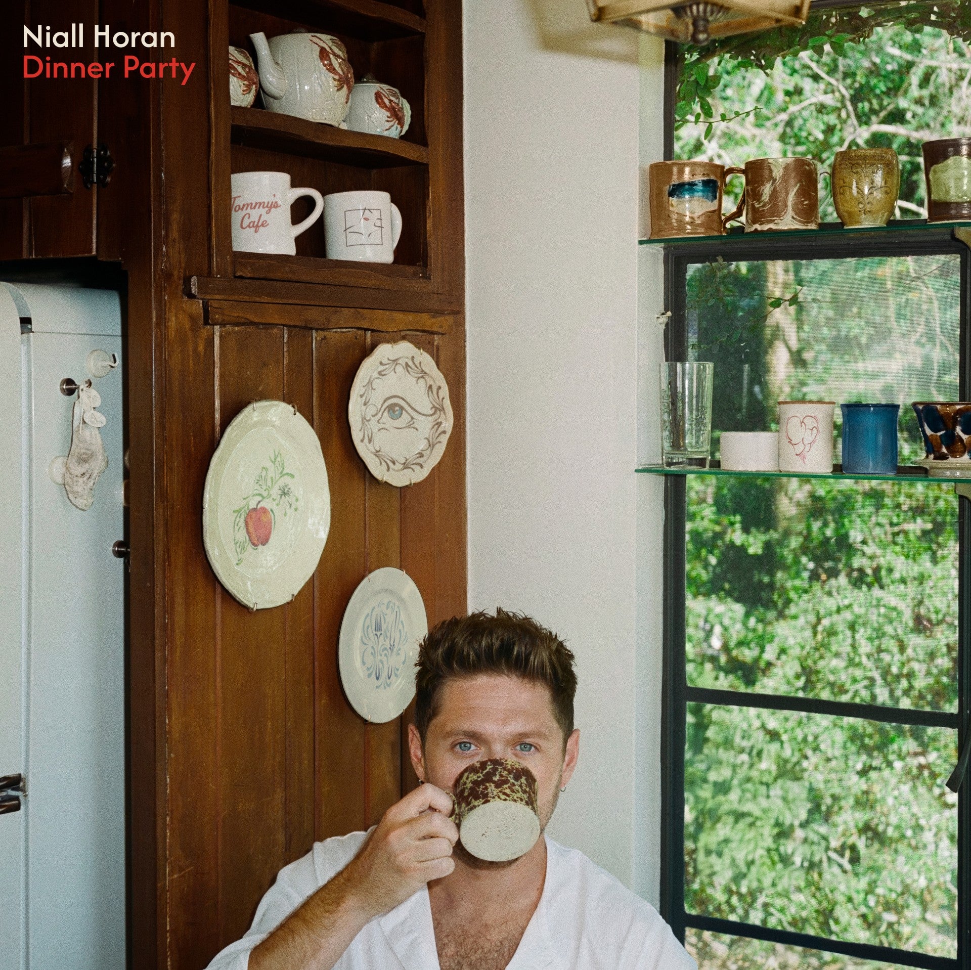 NIALL HORAN - DINNER PARTY - GUARANTEED ENTRY TO PRE-RELEASE LISTENING PARTY & PRE-ORDER OF PORCELAIN COLOUR VINYL LP + TOTE BAG + POSTER