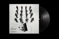 JOHN LEGEND - MUSE - BLACK VINYL LP - PRE ORDER OUT 23RD OCT 2026